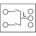 Delock Easy 45 Druckschalter (81363)