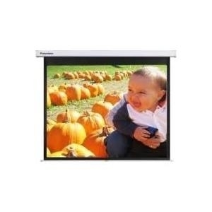 Optoma Panoview Pull Down Manual DS-3100PMG+ (DS-3100PMG+)