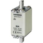 Siemens NH-Sicherungseinsatz 500 V Größe 00 125 A (3NA3832)