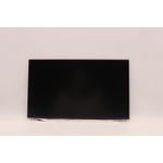 Lenovo Thor DISPLAY 15.6" HD TN 220nit 45%CG non-brac (5D10W35432)