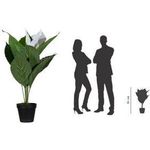 PAPERFLOW Kunstpflanze "Einblatt", Höhe: 550 mm Blume: Stoff, Blätter: PEVA; Zweige: Kunststoff, Stamm: - 1 Stück (PALUNE55)