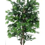 EUROPALMS Ficus-Benjamini Multi-Stamm, Kunstpflanze, 210cm (82506127)
