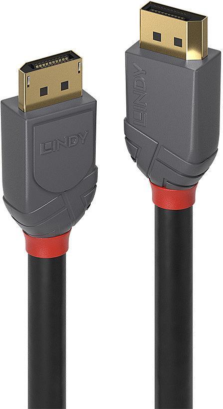 Lindy Anthra Line DisplayPort-Kabel (36486)