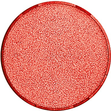 Busch Jaeger 2CKA001565A0175 Beleuchtungs-Zubehör (2CKA001565A0175)