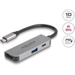 Delock Dockingstation (61063)