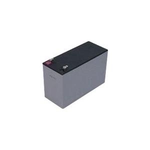 Spezialbatterie für USV 12V 09Ah (19.49.1209)