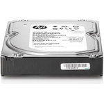HP Festplatte 250GB (713819-B21)