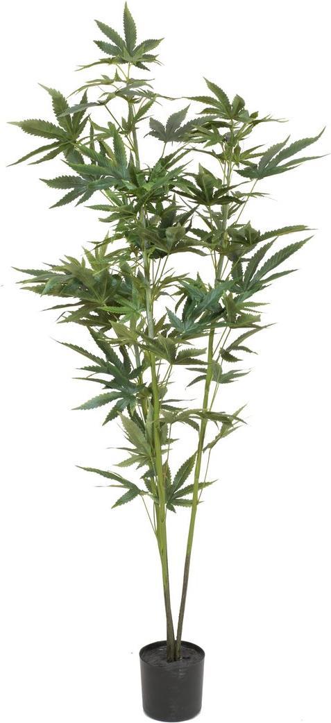 EUROPALMS Hanfpflanze, Kunstpflanze, 120cm (82506693)