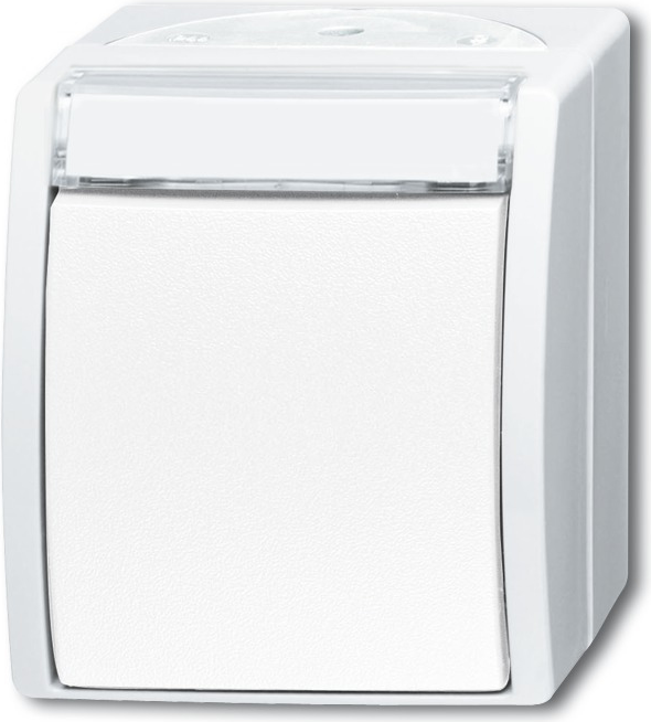 Busch Jaeger 2601/6 WN-54 Elektroschalter 1P Weiß (1085-0-1624)