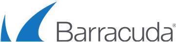 Barracuda CloudGen Firewall Insights Server - 1M Subscri (BNGFISA-E)