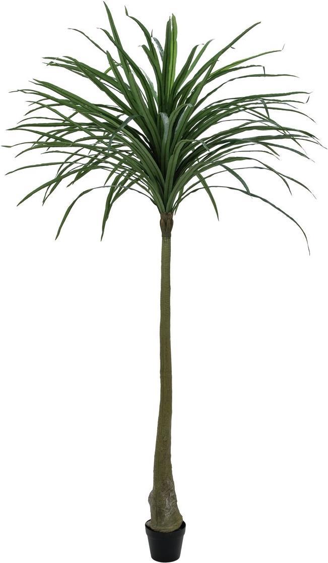 EUROPALMS Dracena, künstlich, grün, 220cm (82505798)