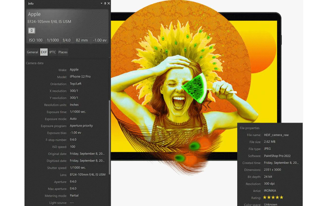 Corel PaintShop Pro 2023 Grafischer Editor 1 Lizenz
