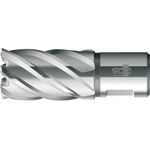 BDS Kernbohrer HSS Standard 19,0mm Schnitt.30mm Weldon-Aufnahme (KBK-019)