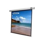 CELEXON Leinwand Motor Economy 240x180 cm inkl Steuerbox und IR Fernbedienung schwarzer Rand und Rueckseite Gain 1.2 (1090075)