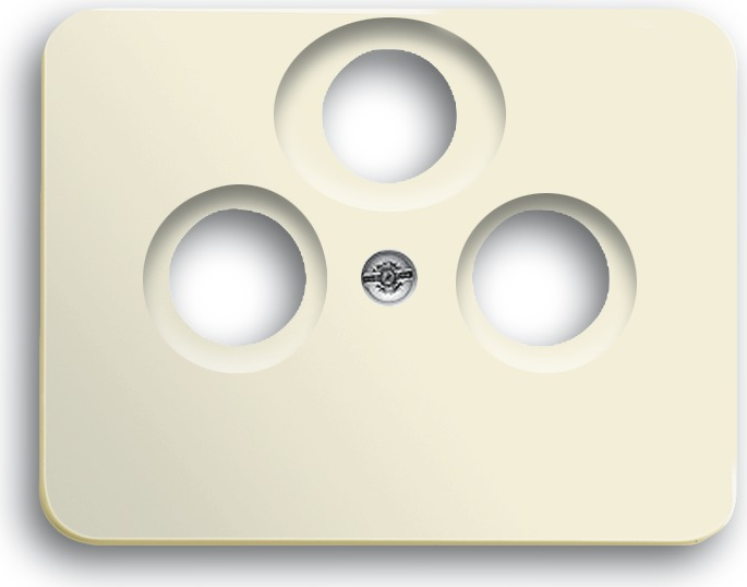 Busch Jaeger 1724-0-2463 Wandplatte/Schalterabdeckung Beige (1724-0-2463)