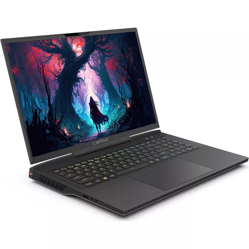 CAPTIVA Ultimate Gaming I81-521 Laptop 43,9 cm (17.3") WQXGA Intel® Core™ i9 32 GB DDR5-SDRAM 1 TB SSD NVIDIA GeForce RTX 4090 Wi-Fi 6 (802.11ax) Schwarz (81521) (geöffnet)