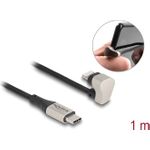 Delock Lightning-Kabel (80025)