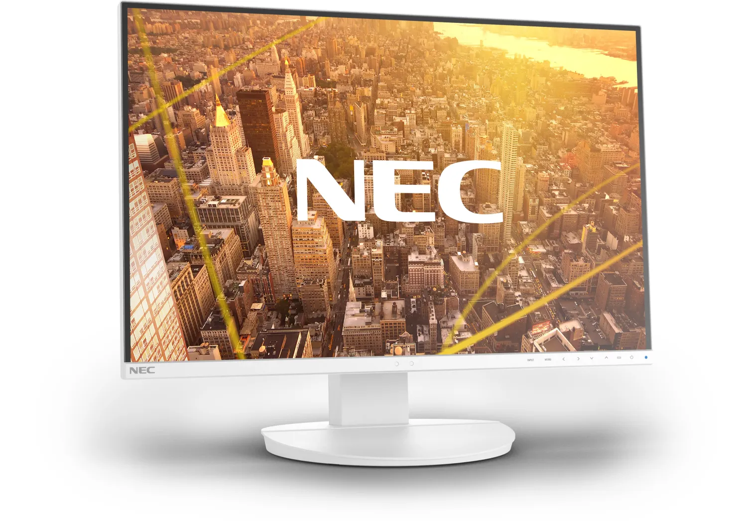 NEC MultiSync EA242WU white [Energieklasse D] (60005573)