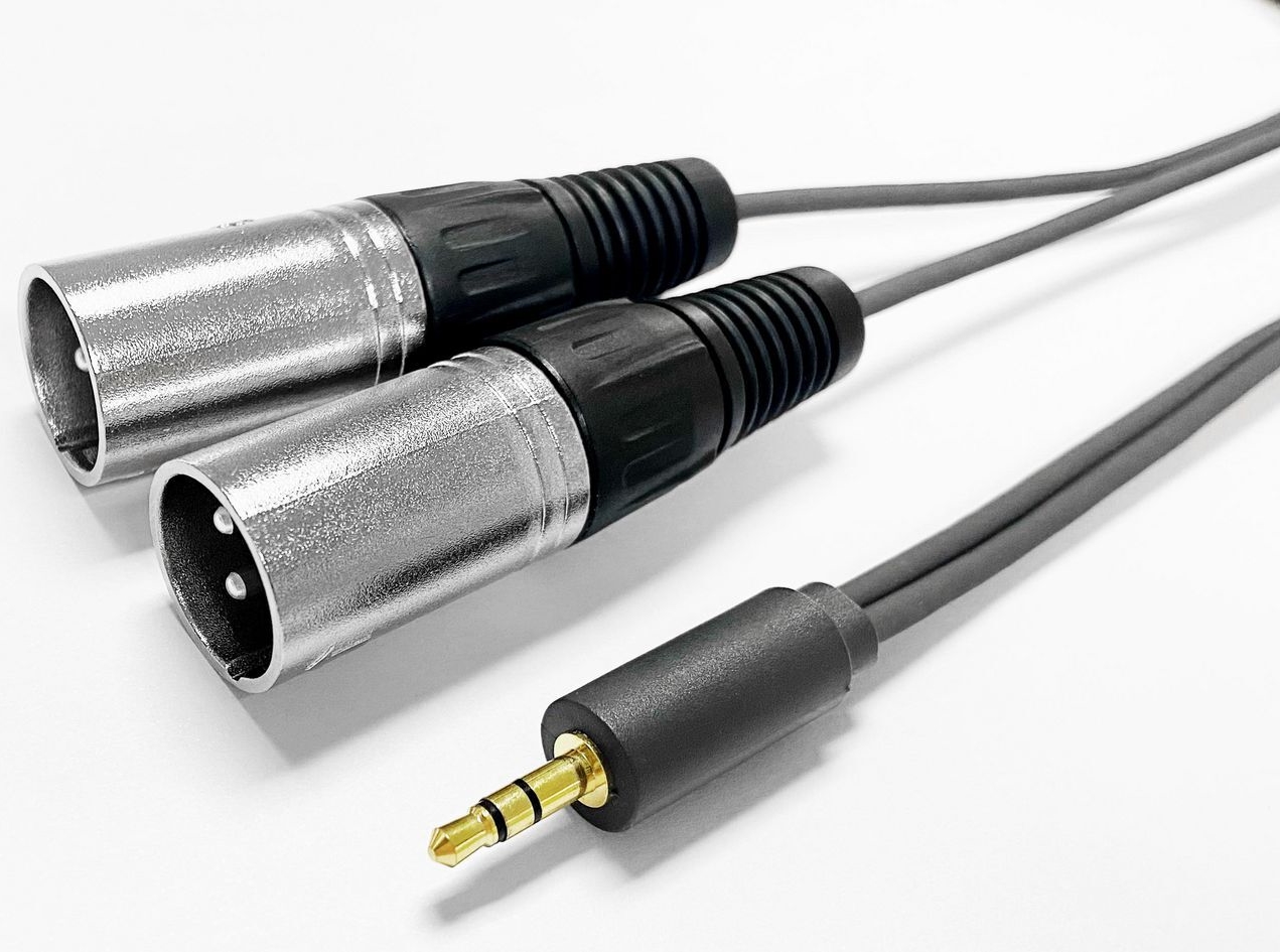 VivoLink CABLE to 2 x XLR male (PROMJXLRS02)