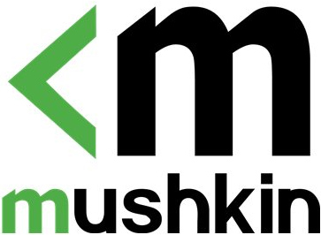 Mushkin ELEMENT SSD (MKNSSDEV512GB-D8)