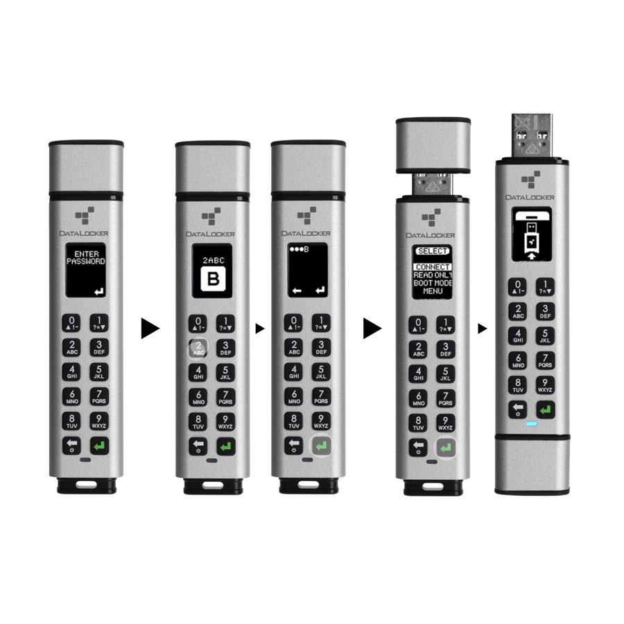 Origin Storage Sentry K350 64 GB USB-Stick Silber
