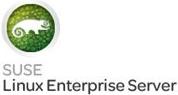 Hewlett Packard Enterprise SuSE Linux Enterprise Server (S0F23AAE)