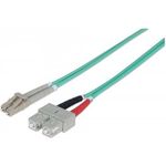 Intellinet Patch-Kabel (750158)