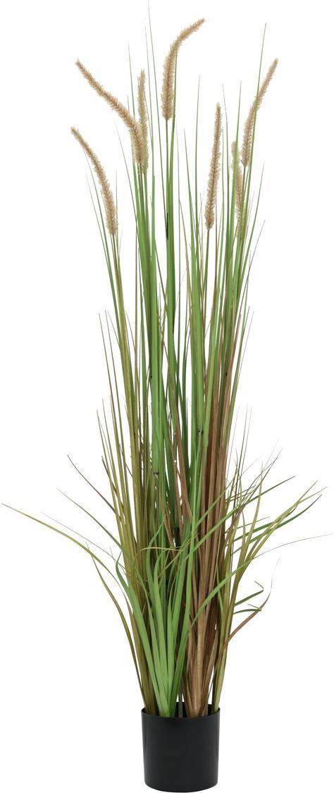 EUROPALMS Lampenputzergras, künstlich, 120cm (82600121)