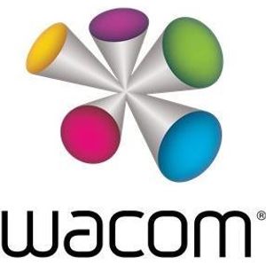 Wacom - Netzteil - 120 Watt - für Cintiq Pro 24 Creative Pen und Touch Displa...