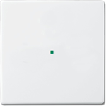 Busch-Jaeger 2CKA006220A0034 Abdeckplatte für Sensorhalterung & -sockel Weiß (2CKA006220A0034)