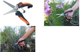 Garten PRIMUS Ersatzfeder für Stauden- & Kräuterschere (01051) - 1 Stück (01051)