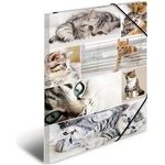 HERMA 19219 Pappe Mehrfarben Aktendeckel (19219)