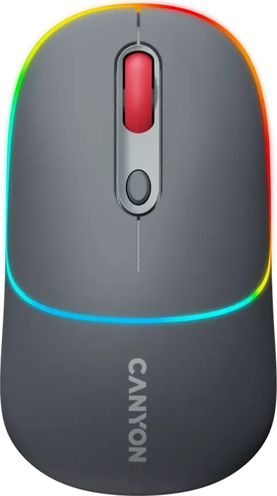 Canyon MW-22 2in1 RGB Funkmaus (CNS-CMSW22DG)