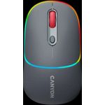 Canyon MW-22 2in1 RGB Funkmaus (CNS-CMSW22DG)