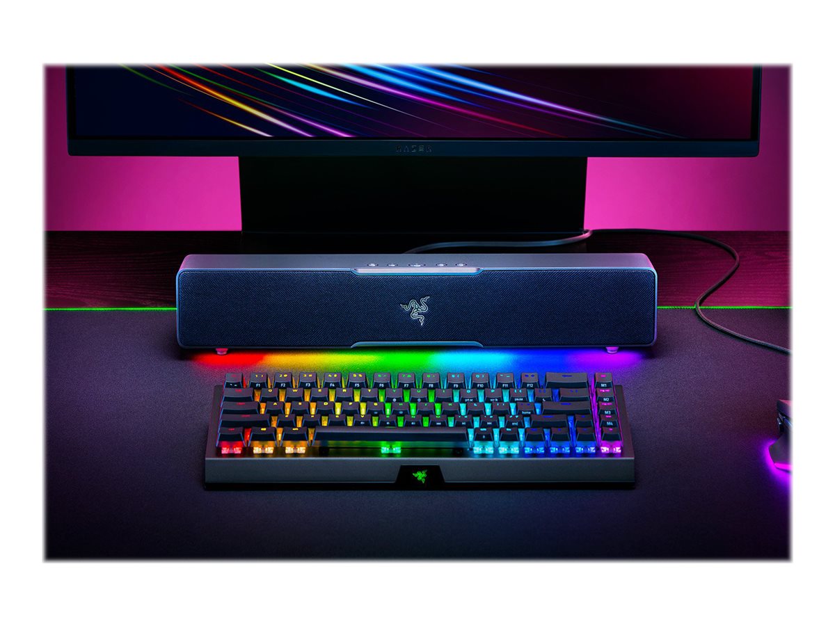 Razer Leviathan V2 X PC-Gaming-Soundbar Stereo 65 W Schwarz