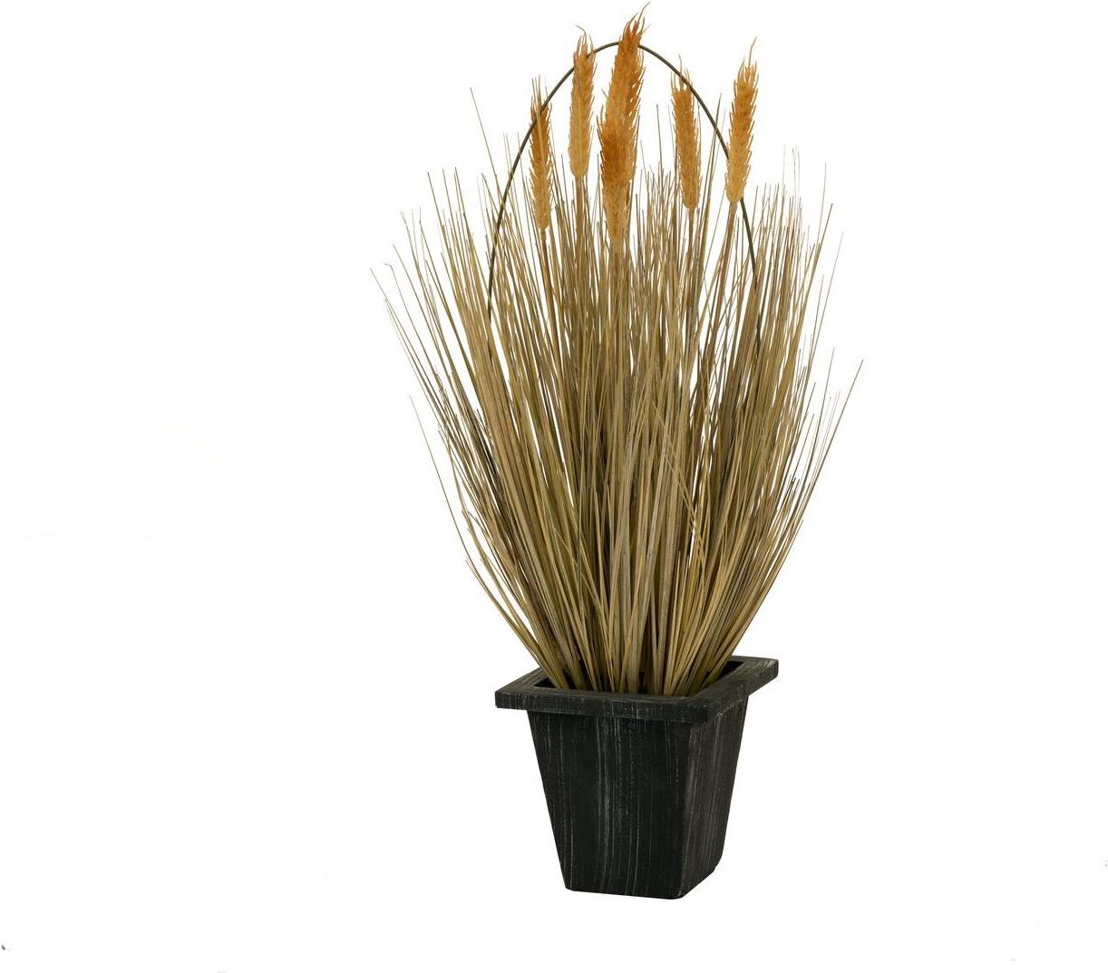 EUROPALMS Weizen erntereif, künstlich, 60cm (82505867)