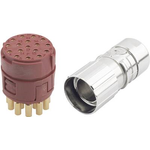 Lapp EPIC SIGNAL M23 KIT D6 17 POL Kompletter elektrischer Anschluss 12 7 A (75009706)