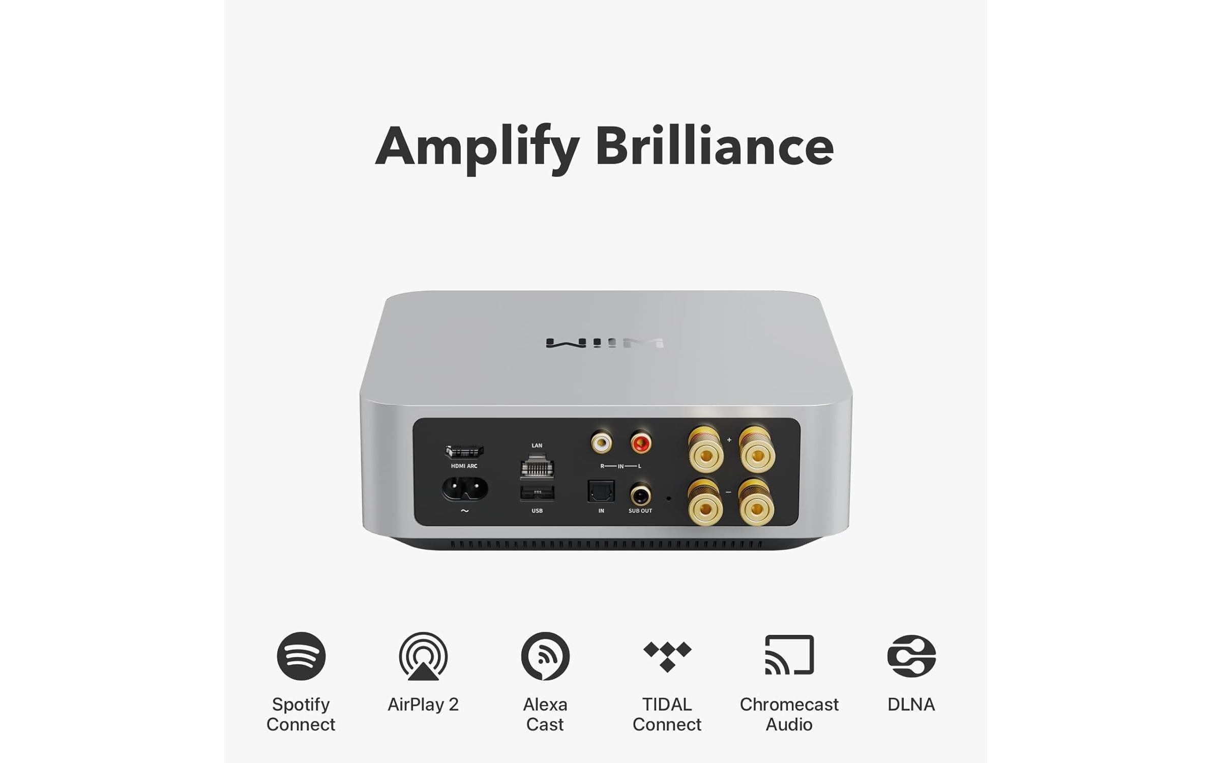 WiiM Amp Multiroom-Streaming-Verstärker Silber