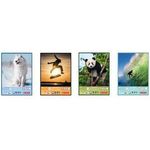 herlitz Zeichenblock DIN A3, 100 g-qm, 20 Blatt holzfrei, die Lieferung erfolgt in sortiert in verschiedenen - 5 Stück (5494310)