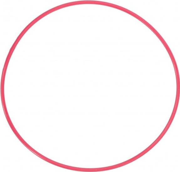 Olympus POL-050 O-Ring für PT-050