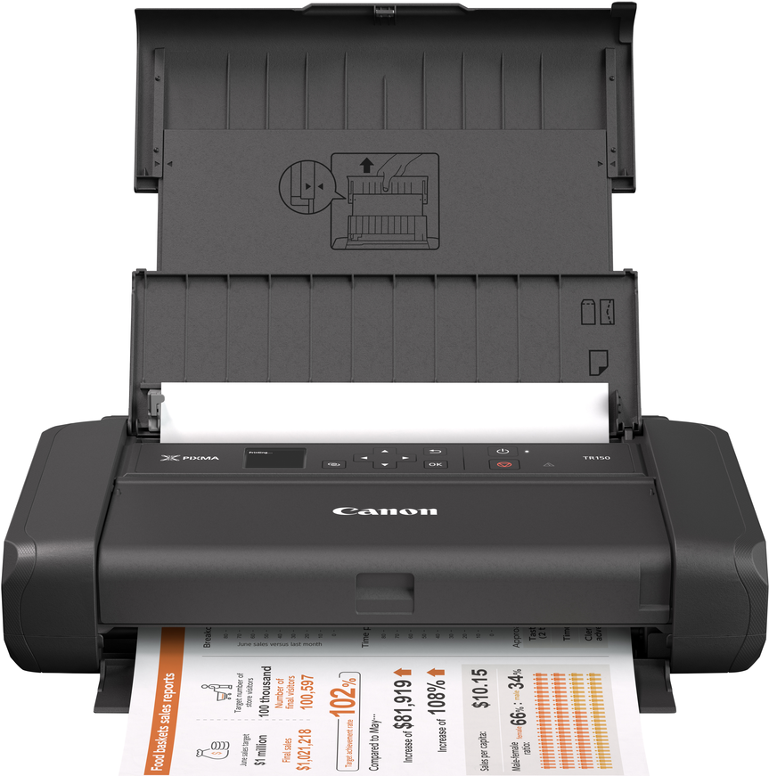 Canon PIXMA TR150 4800 x 1200 DPI Schwarz