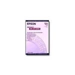Epson Photo Quality Ink Jet Paper (C13S041069)