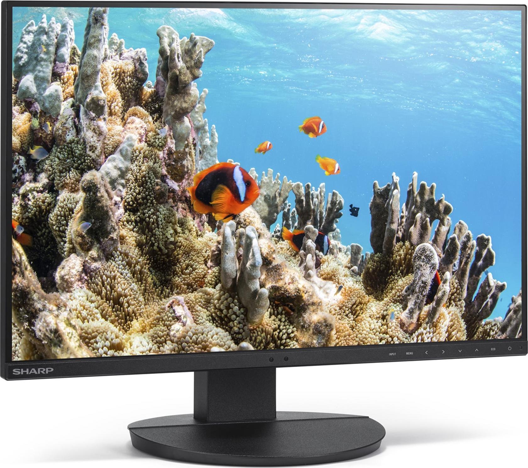 Sharp MultiSync EA242W 24" WUXGA IPS-Monitor 1920x1200 HDMI DP USB-C höhenverstellbar Schwarz