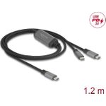 Delock USB-Kabel 24 pin USB-C (M) zu 24 pin USB-C (M)  5 A (81271)