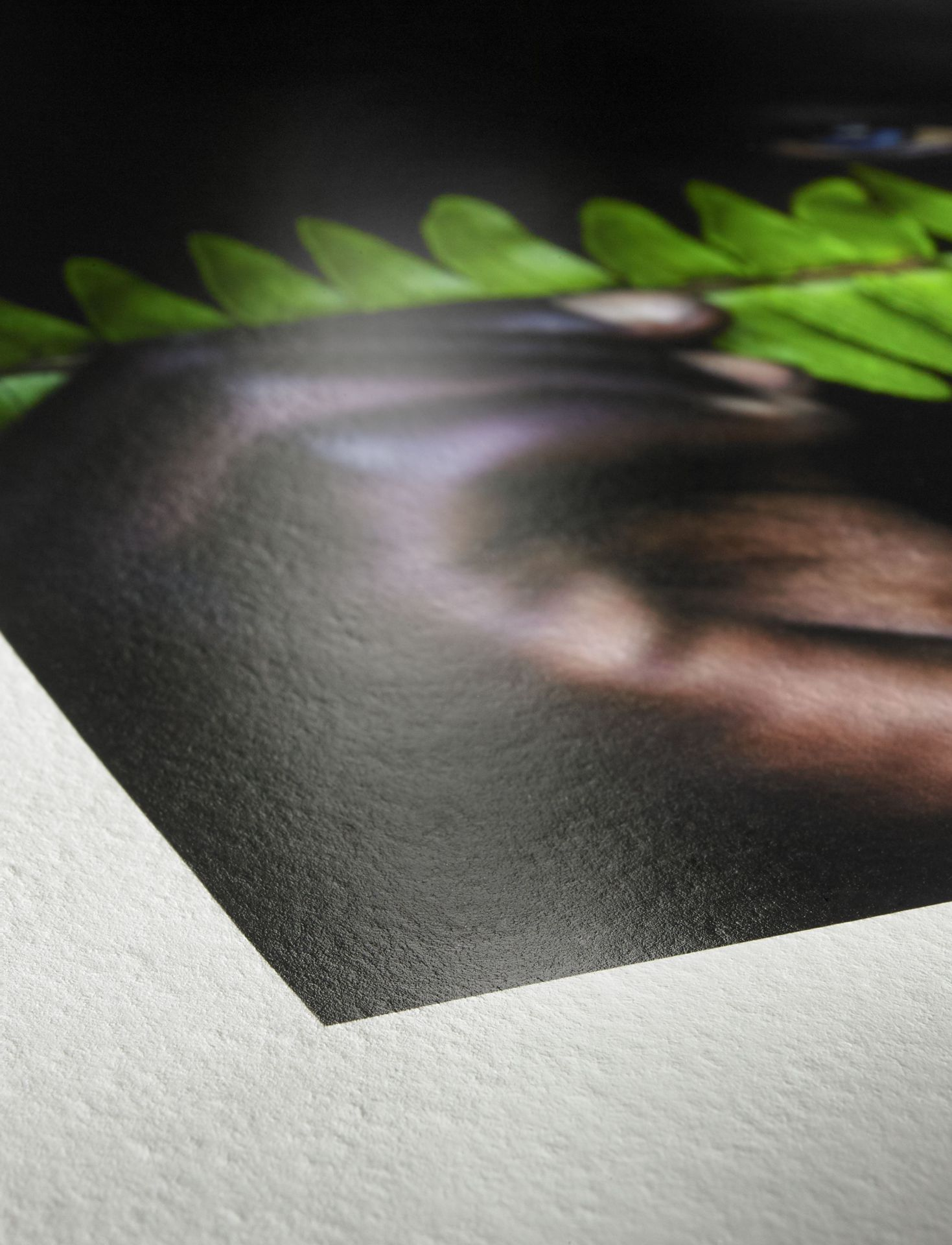 Hahnemühle Photo Rag Pearl A3 Fine Art-Fotopapier 320 g/m² 25 Blatt Natural White