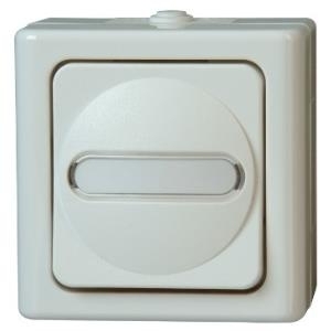 Universalschalter BLUE ELECTRIC arktis AP-Feuchtraum 10A, 250V (560602007)