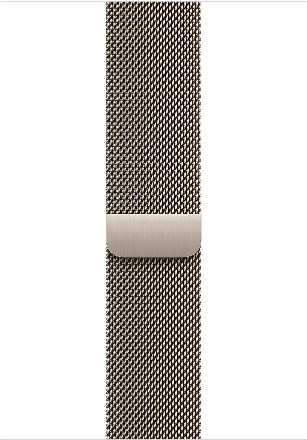 Apple Watch Series 10 (GPS + Cellular) 46 mm Natural Titanium mit Natural Milanese Band M/L