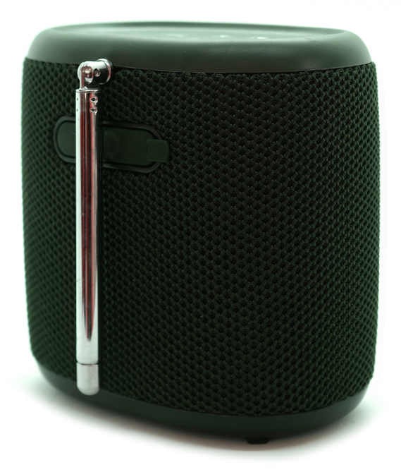 Pure Woodland Mini - Tragbarer Lautsprecher - 5 W - Grün