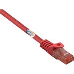 Renkforce RF-5047412 RJ45 Netzwerkkabel Patchkabel CAT 6 U/UTP Rot mit Rastnasenschutz (RF-5047412)