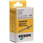 GESIPA Blindniet PolyGrip® Nietschaft dxl 3,2x8,0mm VA 100 St.GESIPA (1432060)